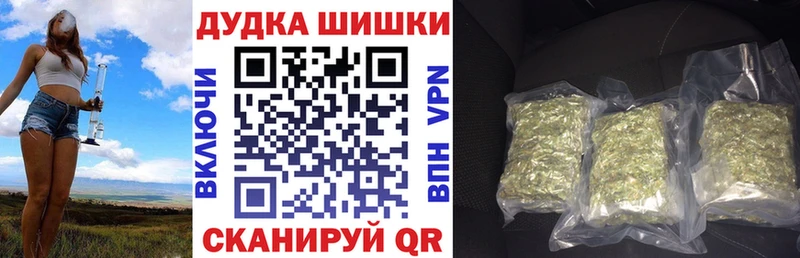 Канабис конопля  Ленинградская 